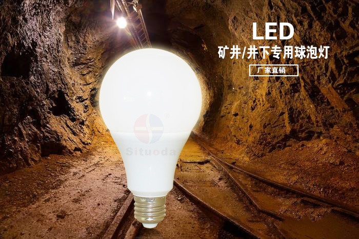 Special bulb lamp for mine/underground