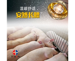 Animal husbandry heat preservation heating lamp