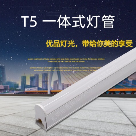 LED T5 integrated tube (1.2m 16W)